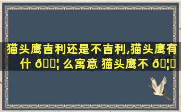 猫头鹰吉利还是不吉利,猫头鹰有什 🐦 么寓意 猫头鹰不 🦅 吉祥是真的吗